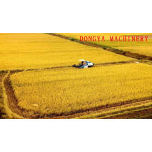 DONGYA X4034 completa máquina de trituração de arroz